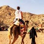 Horse riding Hurghada