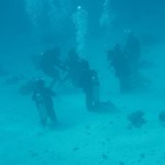 dive hurghada-diving-diver-dive-open water-padi-underwater-intractor-buddy-photo-red sea-hurghada