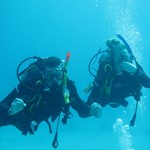 dive hurghada-diving-dive-padi-open water-underwater-course-red sea-hurghada-egypt-photo