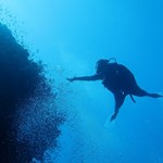 dive hurghada-diving-dive-diver-fish-phto-coral-underwater-red sea-hurghada-egypt