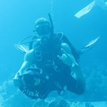 dive hurghada-diver-diving-dive-scuter-scuter dive-underwater-hurghada-red sea-egypt