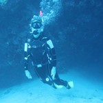 dive hurghada-diving-dive-diver-underwater-hurghada-egypt-coral