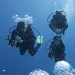 dive hurghada-diving-dive-buddy-friend-underwater-hurghada-egypt-red sea-sea-fun