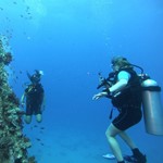 dive hurghada-diving-dive-hurghada-egypt-wreck-red sea-abu nuhas