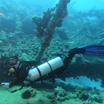 dive hurghada-diving-dive-diver-wreck-abu nuhas-red sea-sea-hurghada-egypt