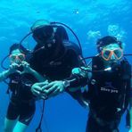 Daily Diving in Hurghada