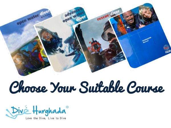 3 Things to consider when you choose diving courses in Hurghada